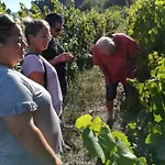 Quinta De Santa Marinha Arcos de Valdevez