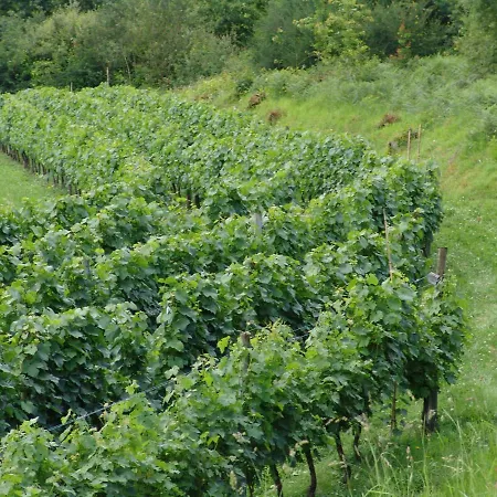 Lägenhet Quinta De Santa Marinha