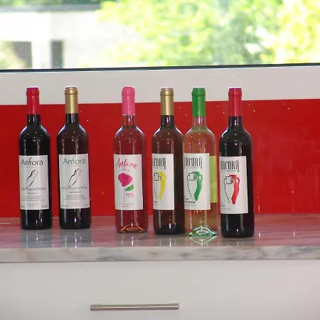 公寓 Quinta De Santa Marinha 阿尔库什迪瓦尔德维什