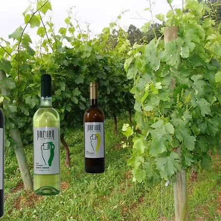 Quinta De Santa Marinha Lägenhet *