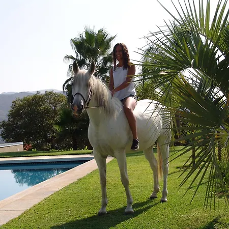Appartement Quinta De Santa Marinha Arcos de Valdevez