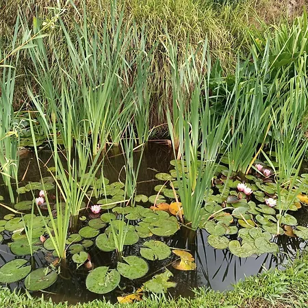 Quinta De Santa Marinha Lägenhet