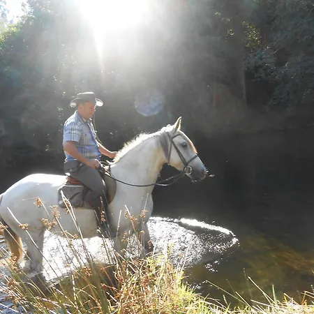 Quinta De Santa Marinha Lägenhet *