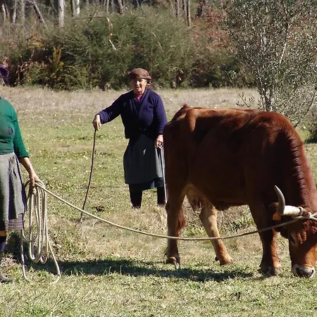 Quinta De Santa Marinha *