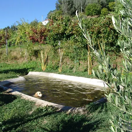 Quinta De Santa Marinha Lägenhet