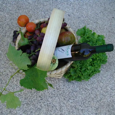 Quinta De Santa Marinha Arcos de Valdevez