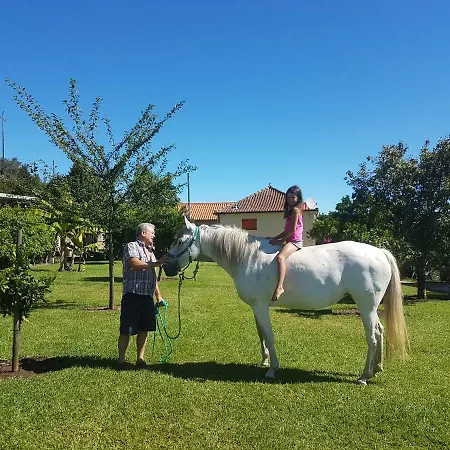 Lägenhet Quinta De Santa Marinha *