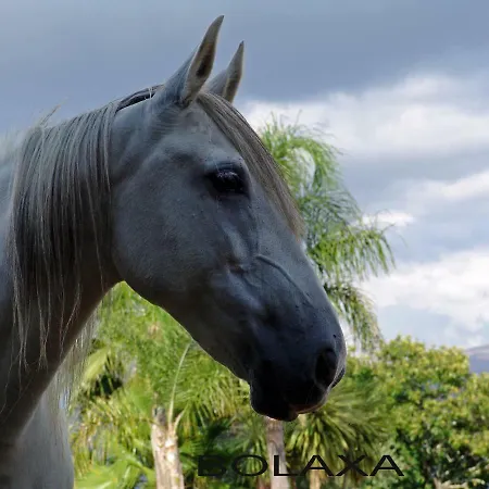 Quinta De Santa Marinha * Arcos de Valdevez