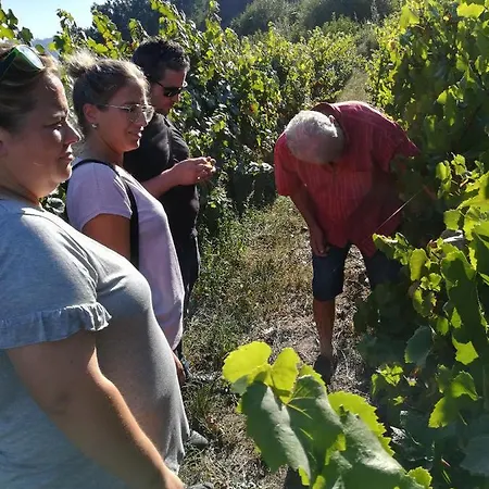 Quinta De Santa Marinha 아르코스 데 발데베즈
