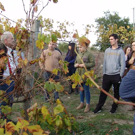 Quinta De Santa Marinha Lägenhet Arcos de Valdevez