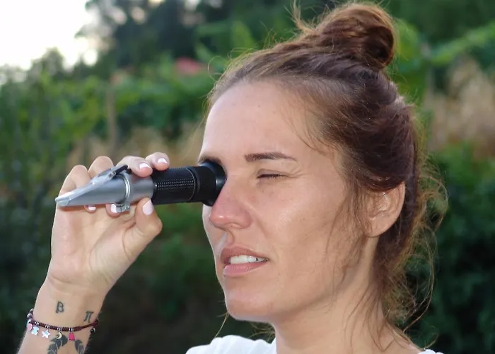 Quinta De Santa Marinha Apartmán Arcos de Valdevez