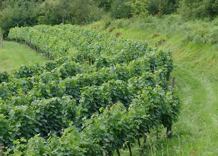 公寓 Quinta De Santa Marinha