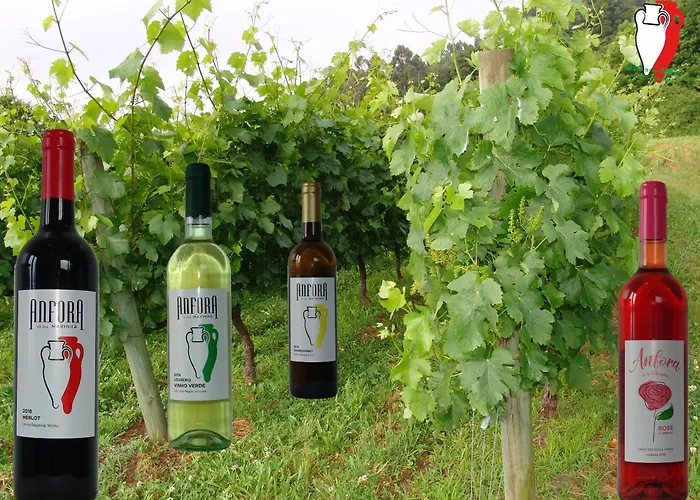 Quinta De Santa Marinha Lägenhet *