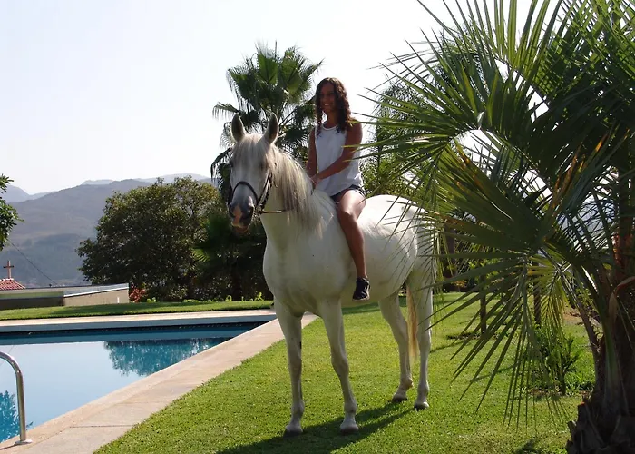 Lägenhet Quinta De Santa Marinha Arcos de Valdevez