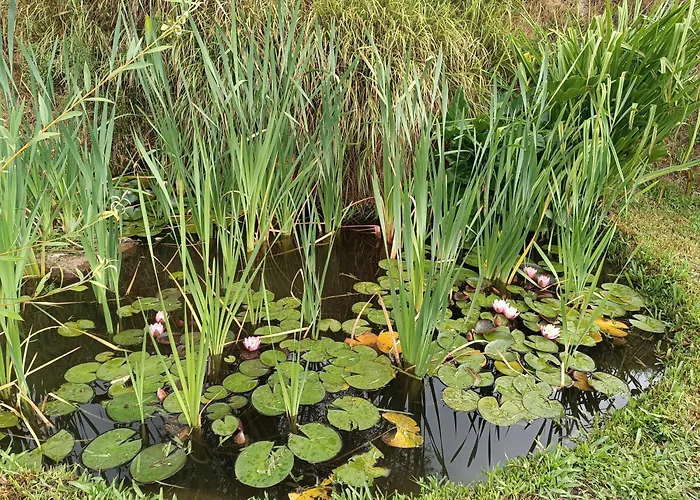 Quinta De Santa Marinha Appartement
