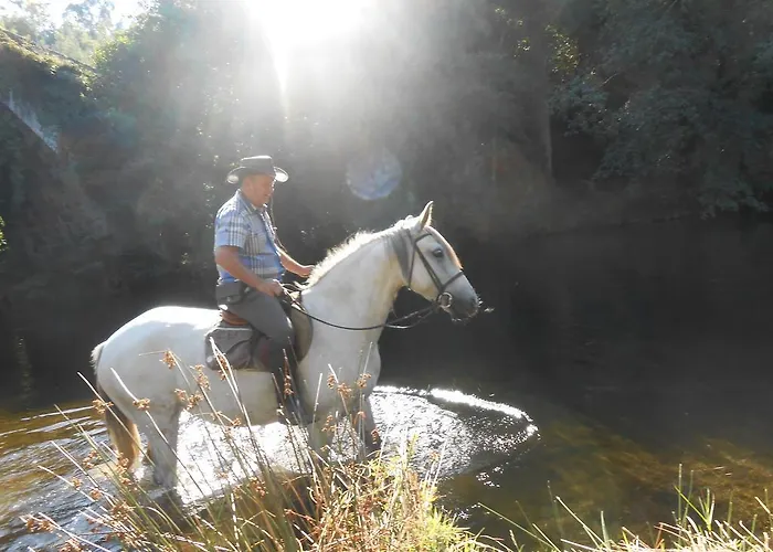 Quinta De Santa Marinha Apartmán *