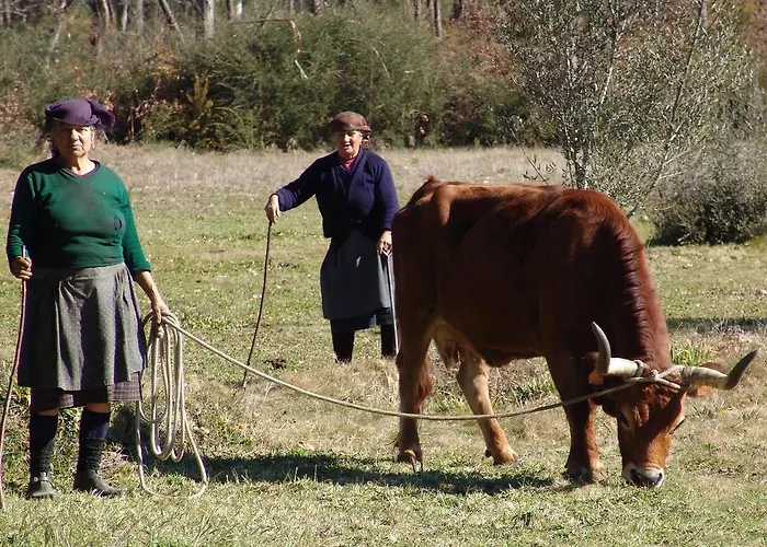 Quinta De Santa Marinha *