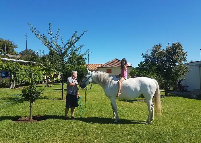 Apartmán Quinta De Santa Marinha *