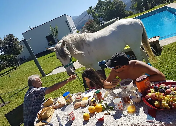 Quinta De Santa Marinha *