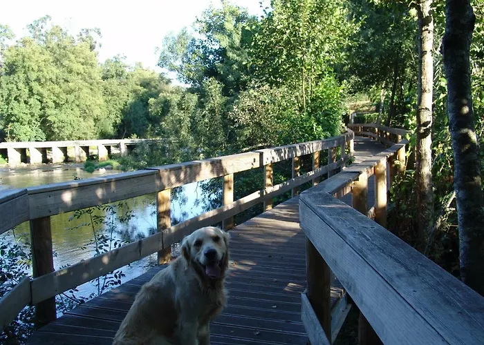 Quinta De Santa Marinha * Arcos de Valdevez