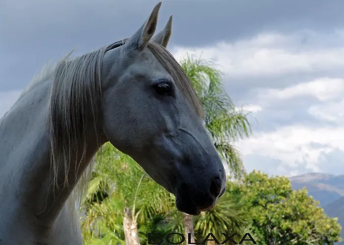 Quinta De Santa Marinha * 阿尔库什迪瓦尔德维什