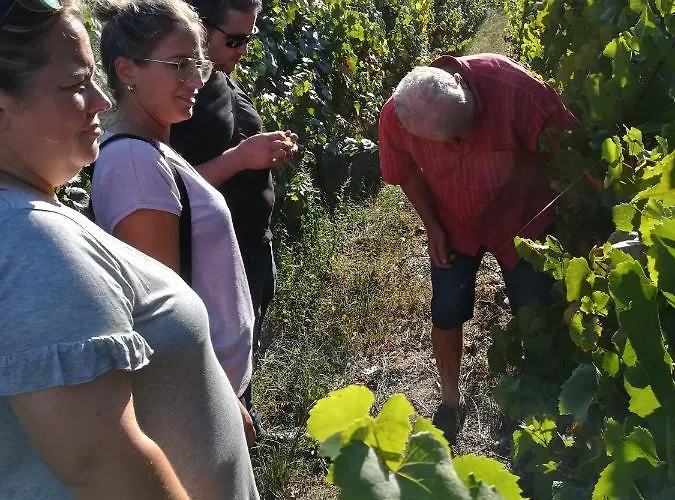 Quinta De Santa Marinha Arcos de Valdevez
