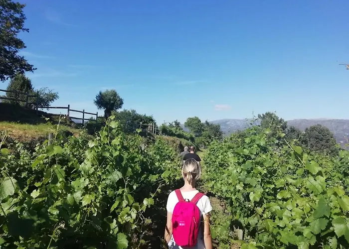 Quinta De Santa Marinha * 阿尔库什迪瓦尔德维什