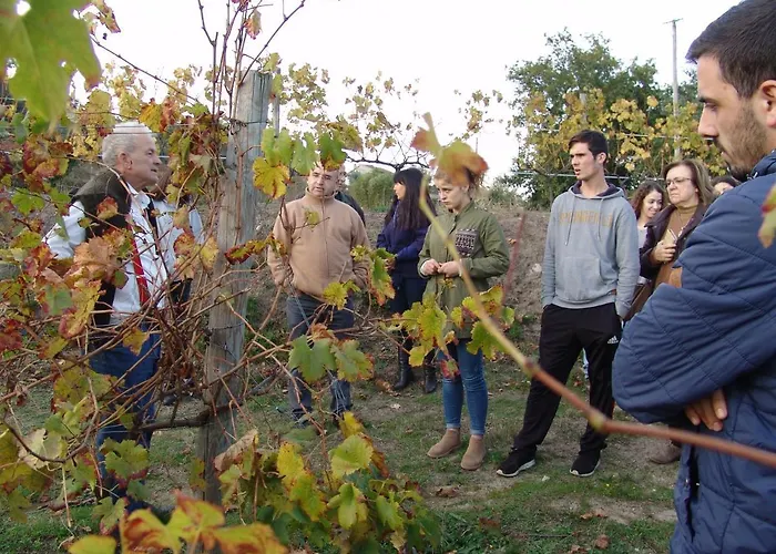 Quinta De Santa Marinha Appartement Arcos de Valdevez